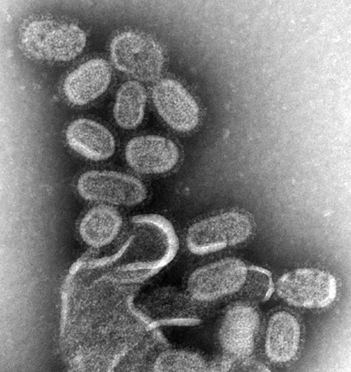 COMUNICAT DE PRESĂ - Gripa, o boală de sezon